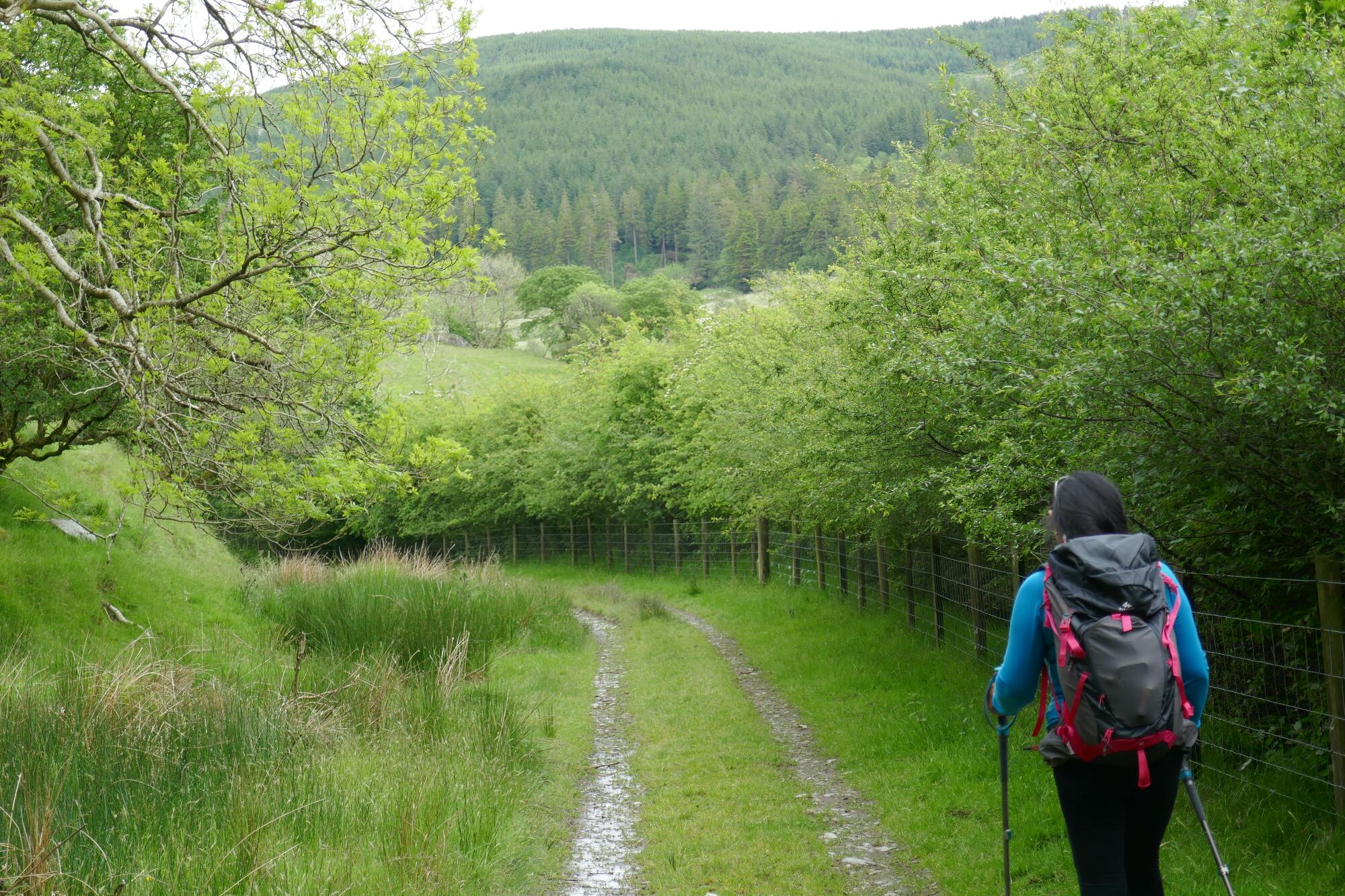 RachelSeabrook.net | Wild Walking | Devils-Bridge; pic29